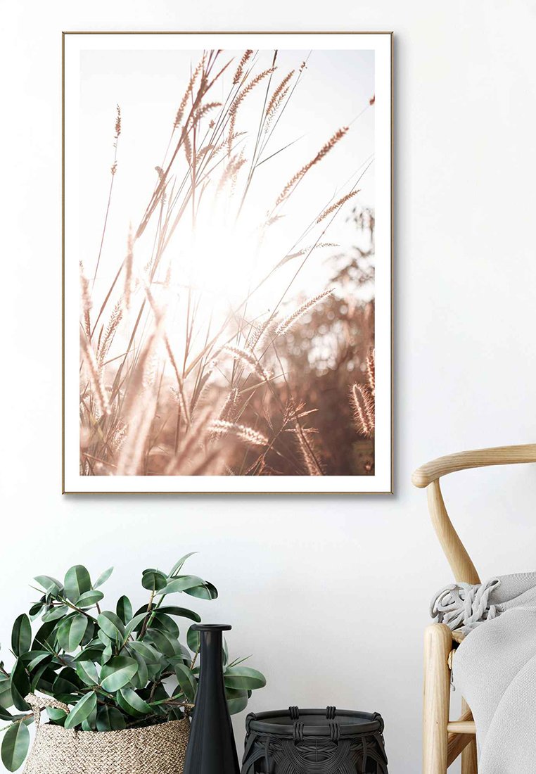 Orange Wallz SUNLIGHT GRASSES