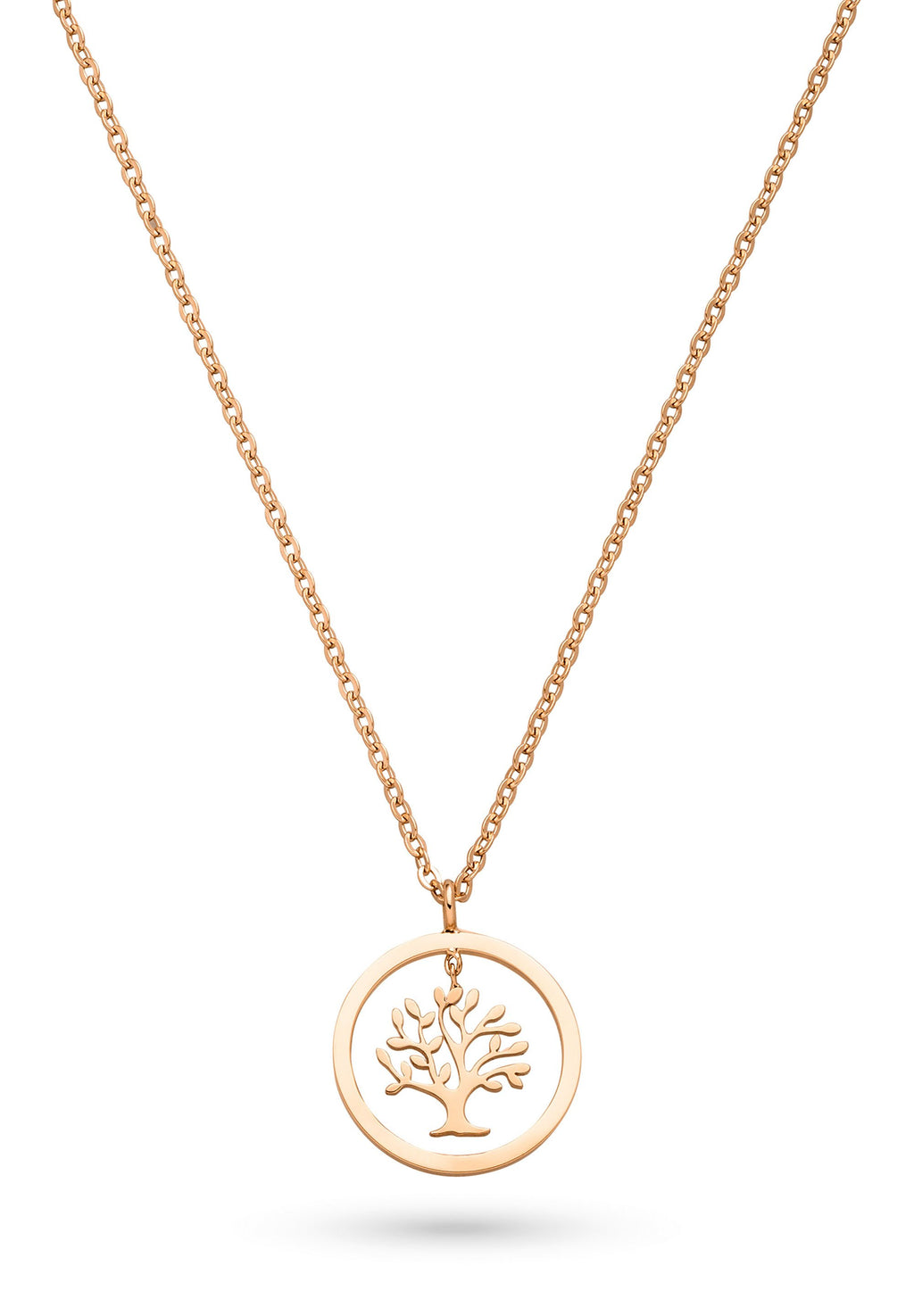 TREE OF LIFE Media 3