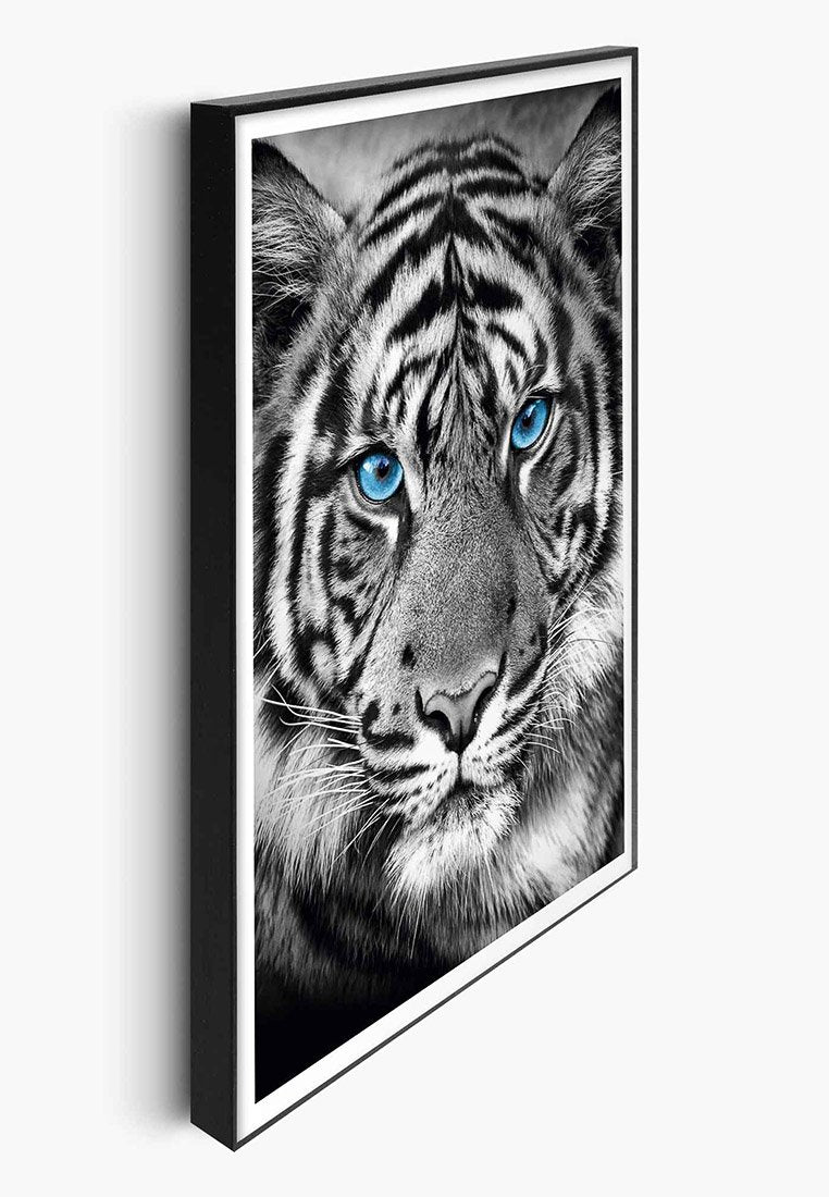 Orange Wallz TIGER