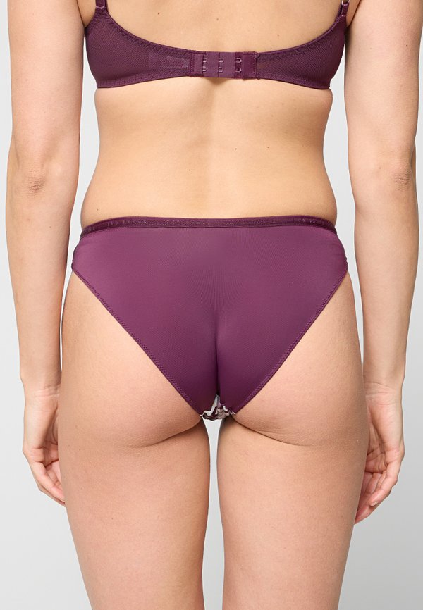 Ted Baker PIXIE 3 PACK