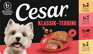 Nassfutter Hund Klassiker Selektion Multipack (8x150 g) Cesar