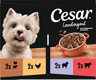 Nassfutter Hund Landküche Vielfalt in Sauce, Multipack (8x150 g) Cesar