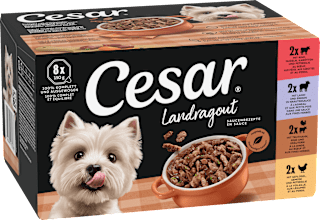 Nassfutter Hund Landküche Vielfalt in Sauce, Multipack (8x150 g) Cesar