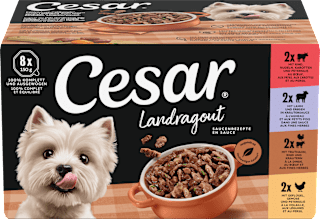 Nassfutter Hund Landküche Vielfalt in Sauce, Multipack (8x150 g) Cesar