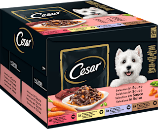 Nassfutter Hund Selection in Sauce, Multipack (24x100 g) Cesar