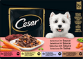 Nassfutter Hund Selection in Sauce, Multipack (24x100 g) Cesar