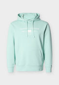 Tommy Hilfiger PLUS LOGO TERRY DRAWSTRING HOODY - Hoodie - crushed mint