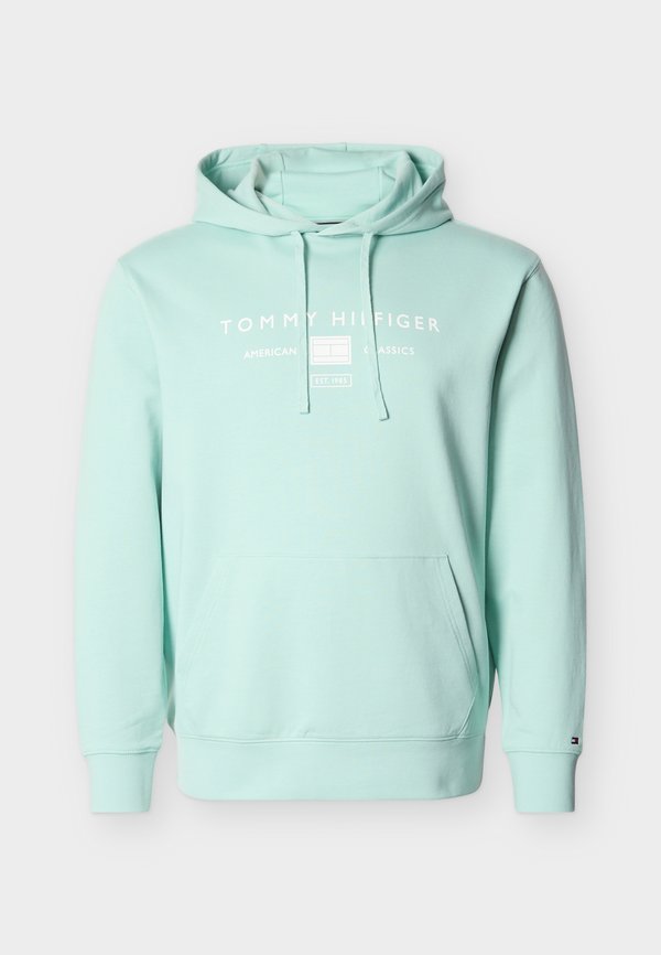 Tommy Hilfiger PLUS LOGO TERRY DRAWSTRING HOODY - Hoodie - crushed mint