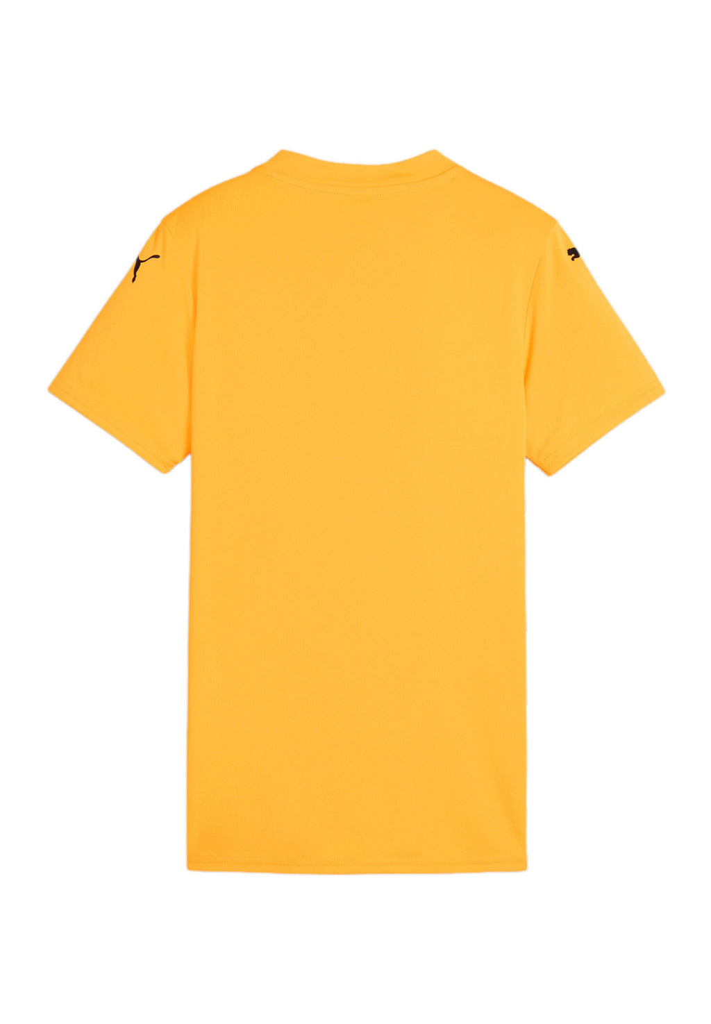 Puma TEAMGLORY