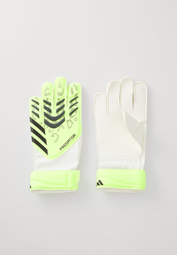 adidas Performance PREDATOR GLOVE TRAINING