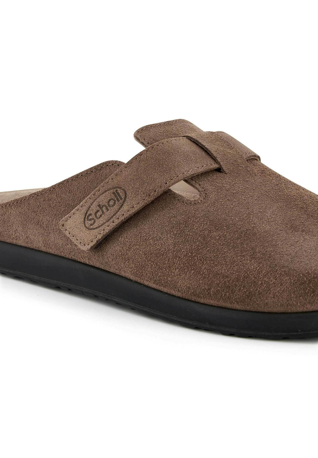 Scholl