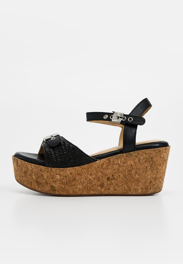 Scholl HOPE
