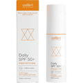 Gesichtscreme Protection LSF 50+ colibri SKINCARE