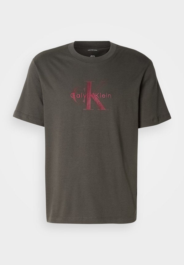 Calvin Klein Jeans SS HERO MONOLOGO TEE 20S - Print T-shirt - beluga