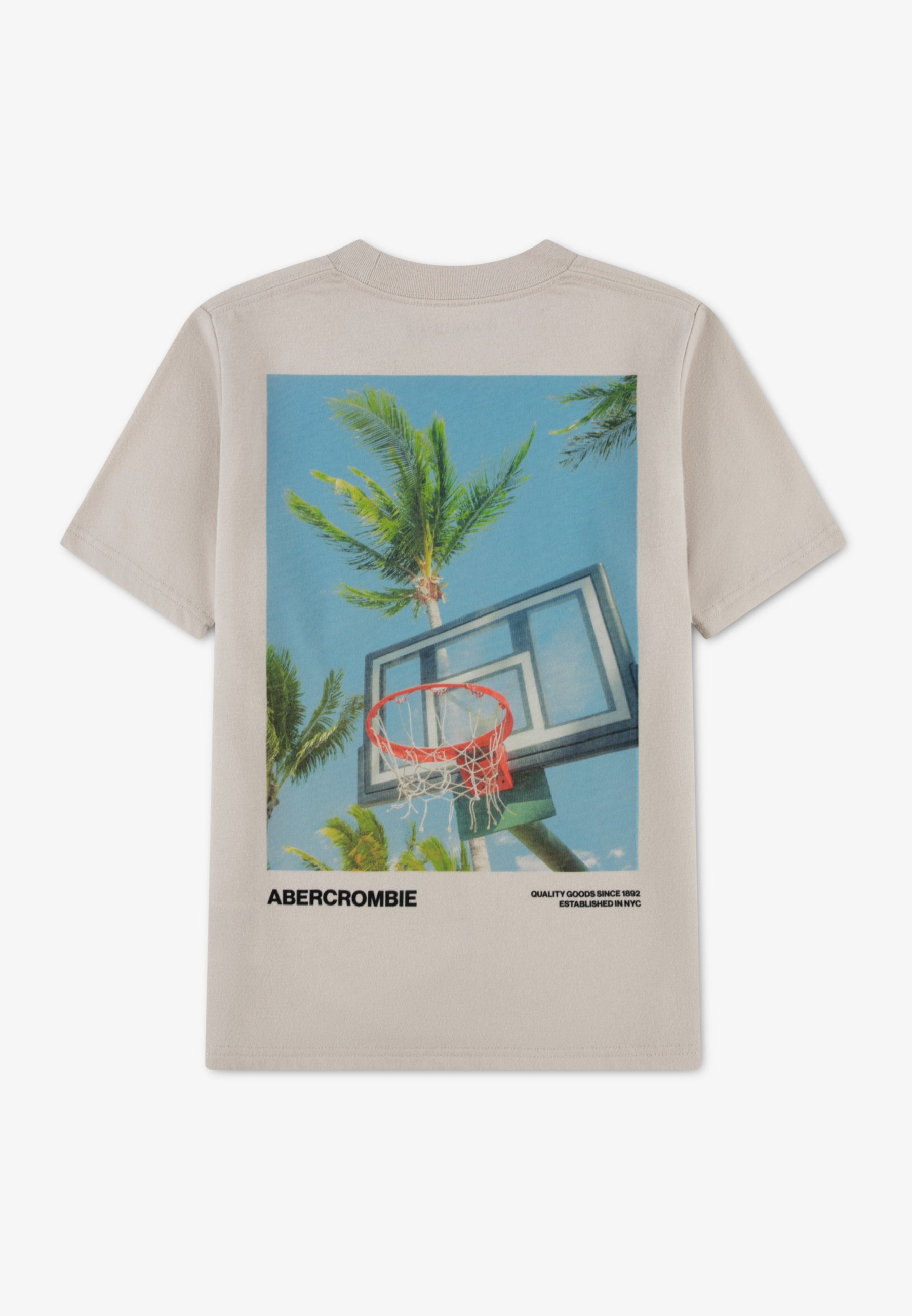 Abercrombie & Fitch BANK SHOT TEE