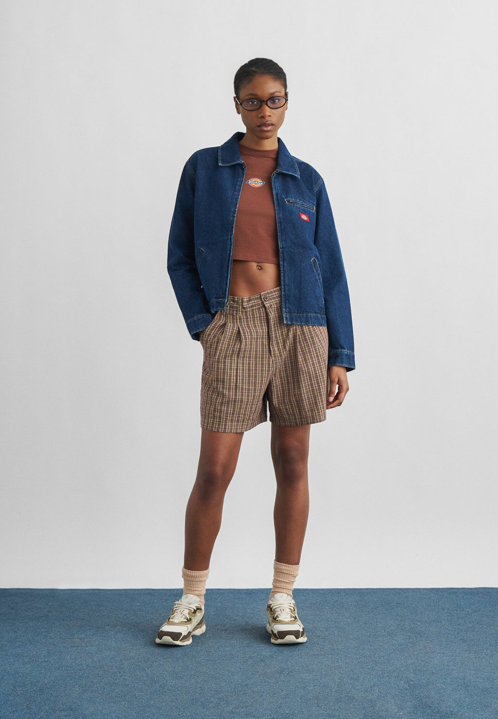 Dickies PAINTER JACKET