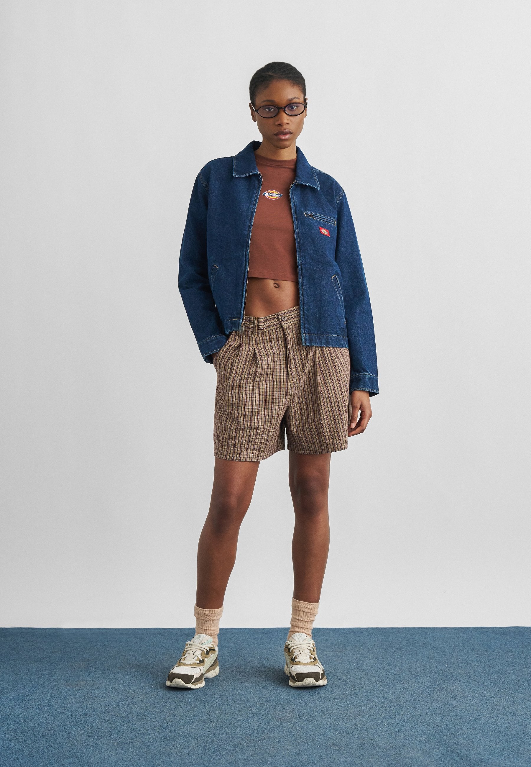 Dickies PAINTER JACKET