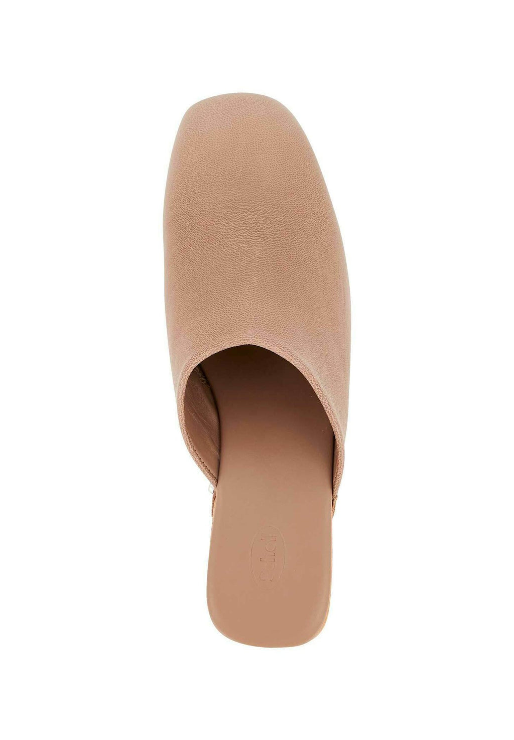 Scholl HAILEY