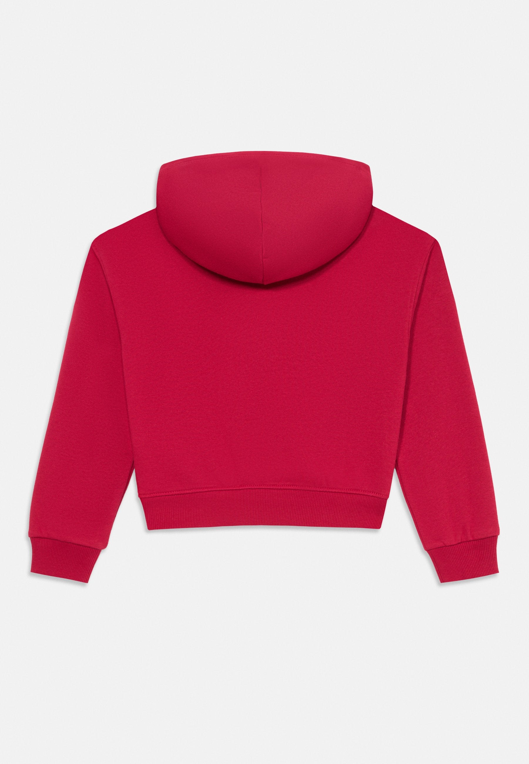 RHINESTONE FLAG HOODIE Media 2