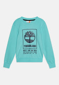 Türkises Sweatshirt mit langen Ärmeln, Rundhalsausschnitt und gerippten Bündchen. Vorne mit einem schwarzen Baumlogo und Text bedruckt.