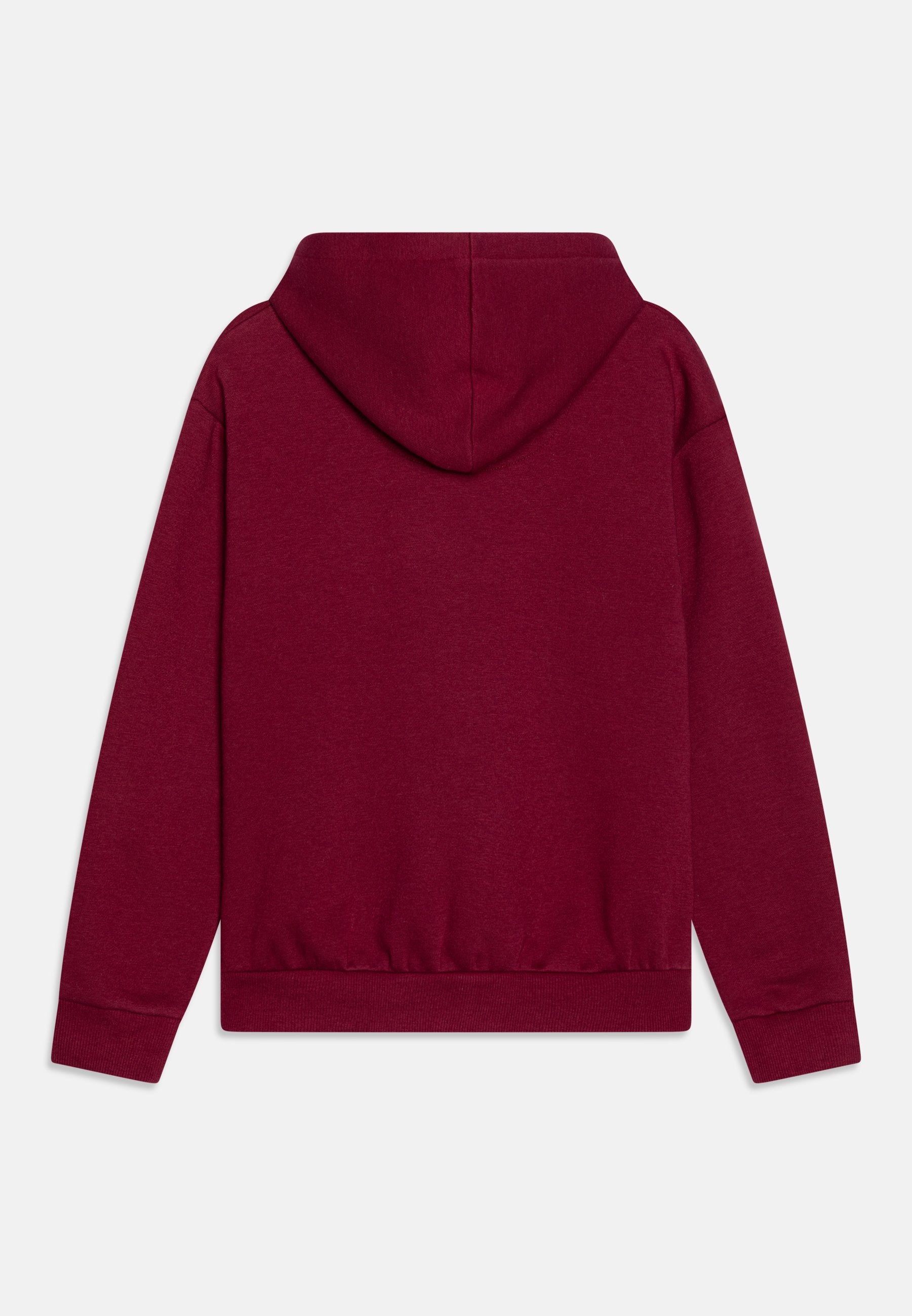 Levi's® POSTER LOGO HOODIE