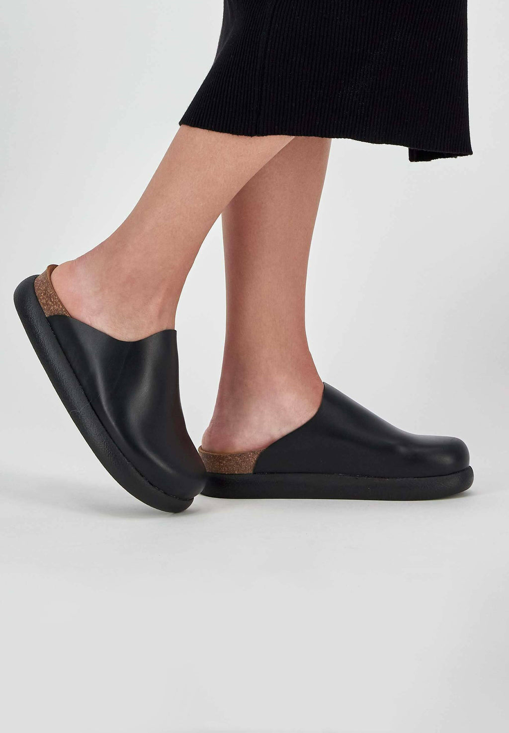 Scholl  IVY 2.0