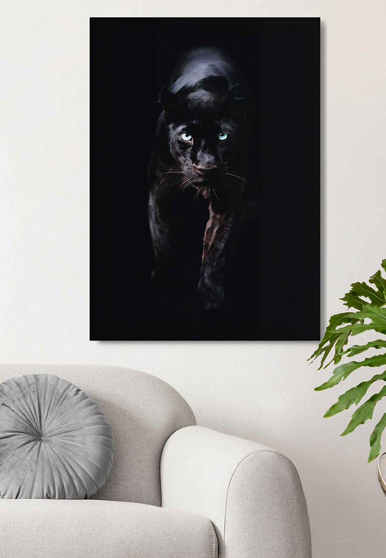 Orange Wallz BLACK CAT