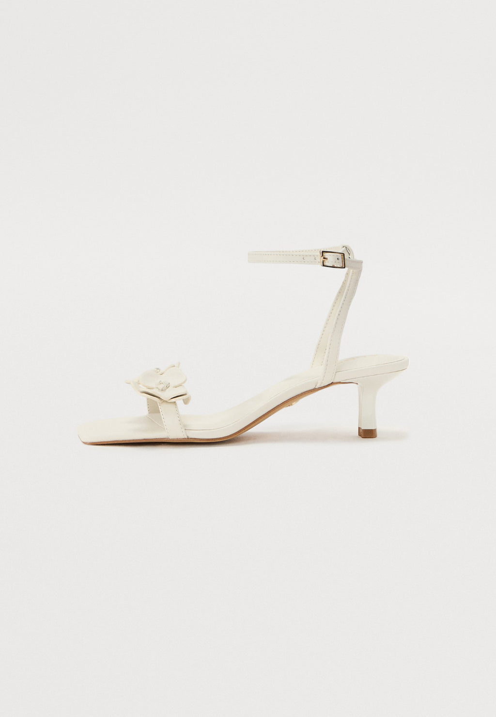 ALDO DAISYROSE