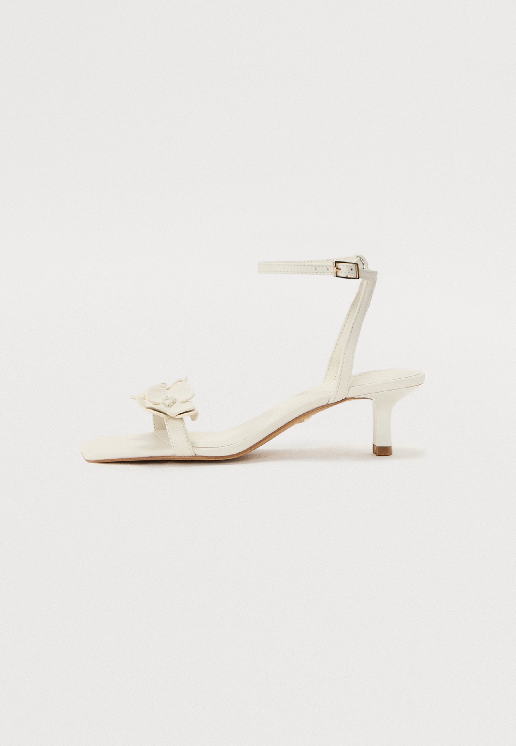 ALDO DAISYROSE