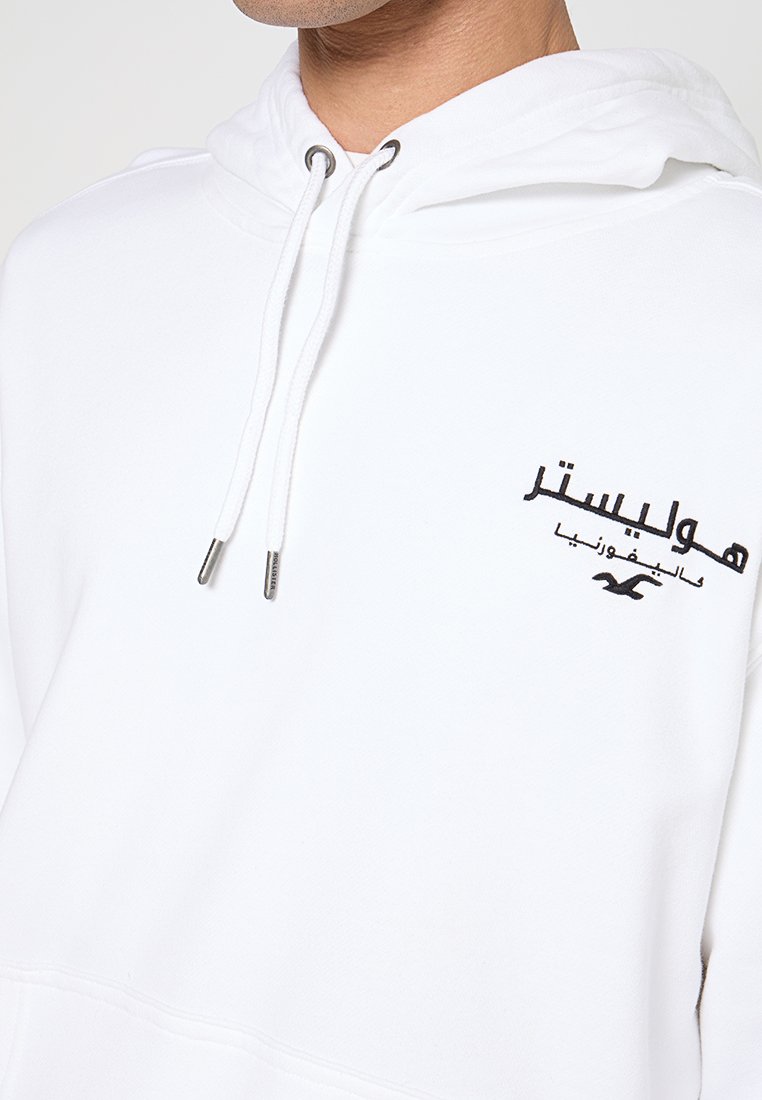 Hollister Co.