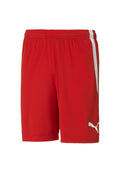 Puma  TEAMLIGA FOOTBALL