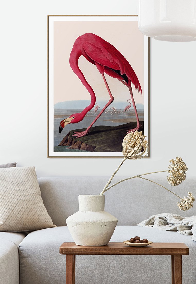 Orange Wallz AUDUBON FLAMINGO