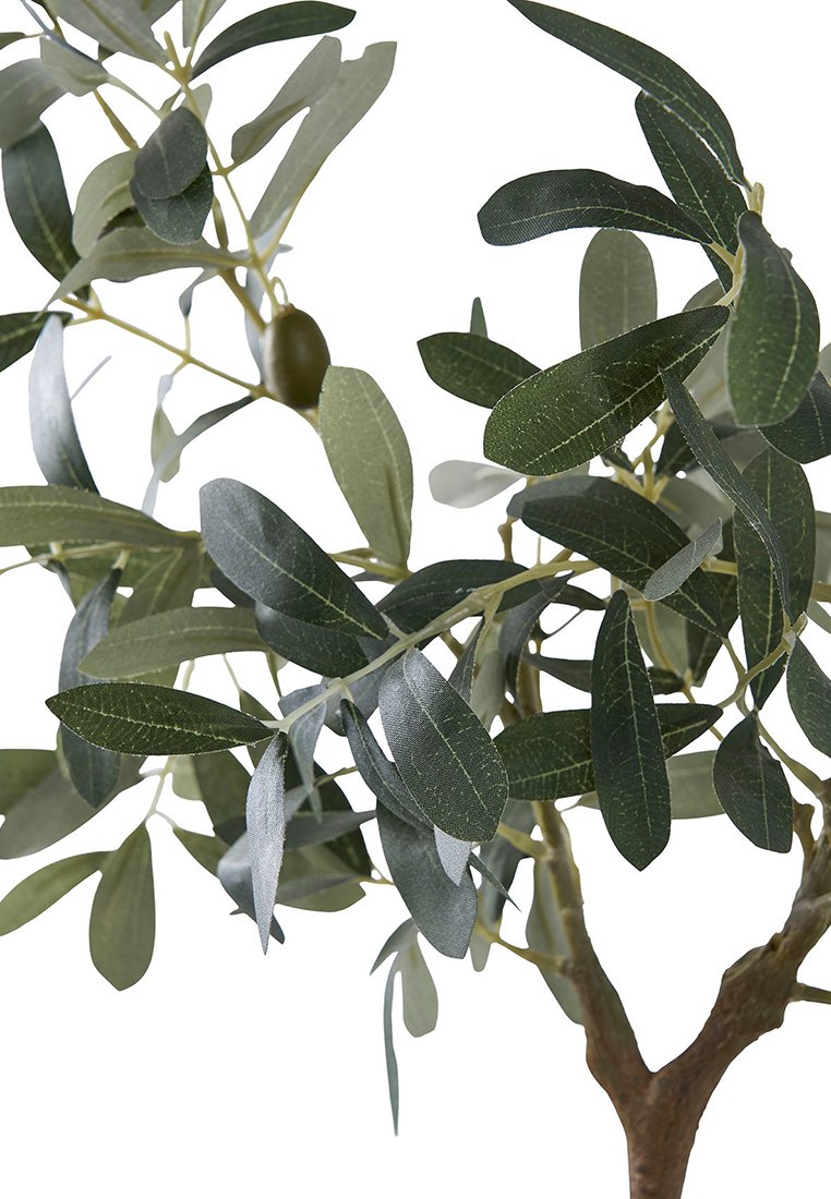 House Nordic OLIVE TREE