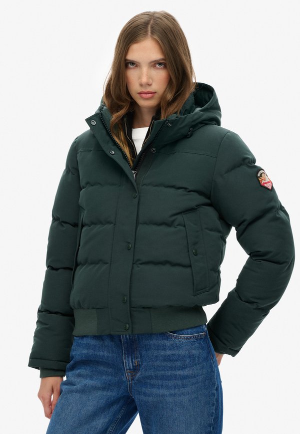 Superdry & Co EVEREST HOODED - Winter jacket - cedar green