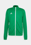 adidas Performance ENTRADA22 TRACK - Training jacket - team green/white