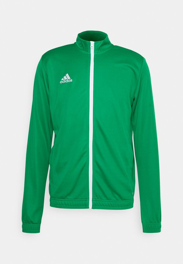adidas Performance ENTRADA22 TRACK - Training jacket - team green/white