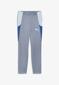 Puma INDIVIDUALBLAZE TRAINING PANTS - Tracksuit bottoms - gray sky puma/white royal sapphire
