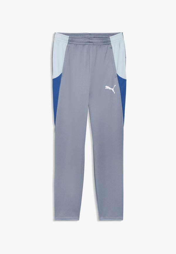 Puma INDIVIDUALBLAZE TRAINING PANTS - Tracksuit bottoms - gray sky puma/white royal sapphire