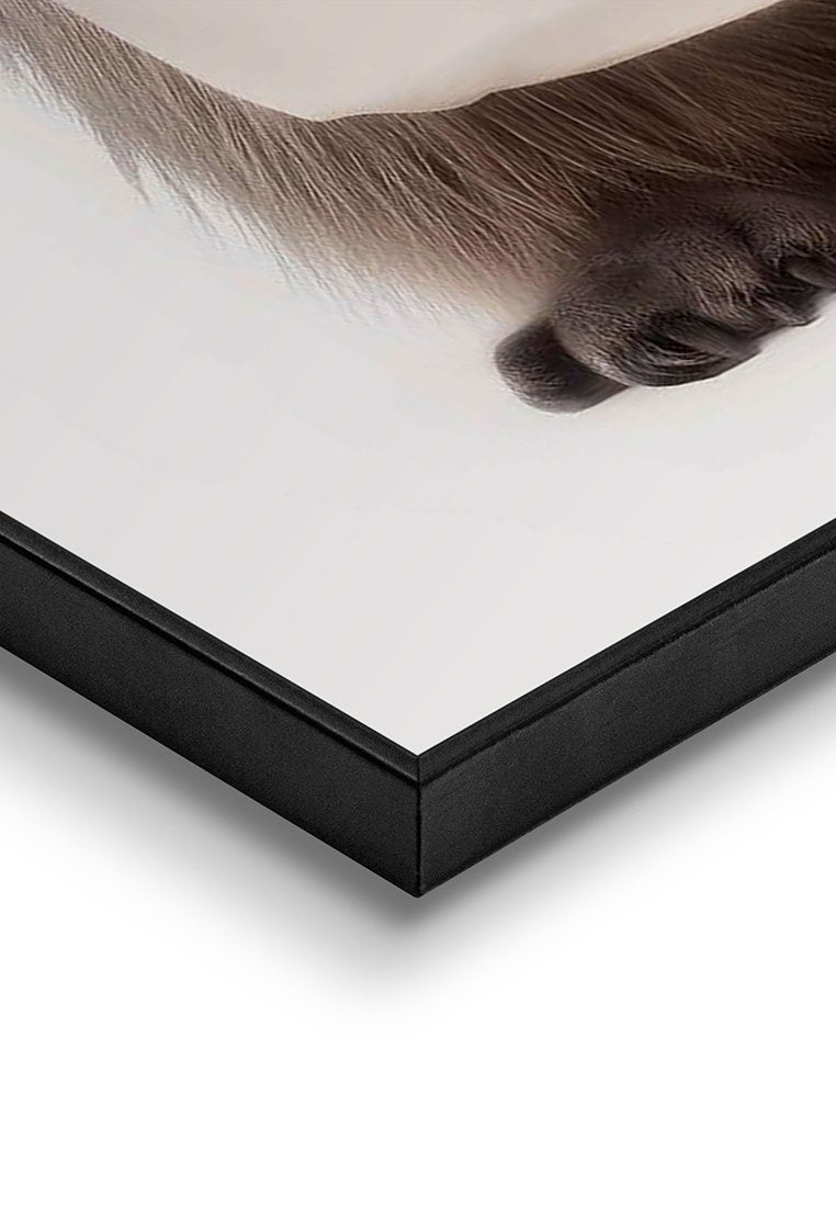 Orange Wallz RACOON PAPER HOLDER