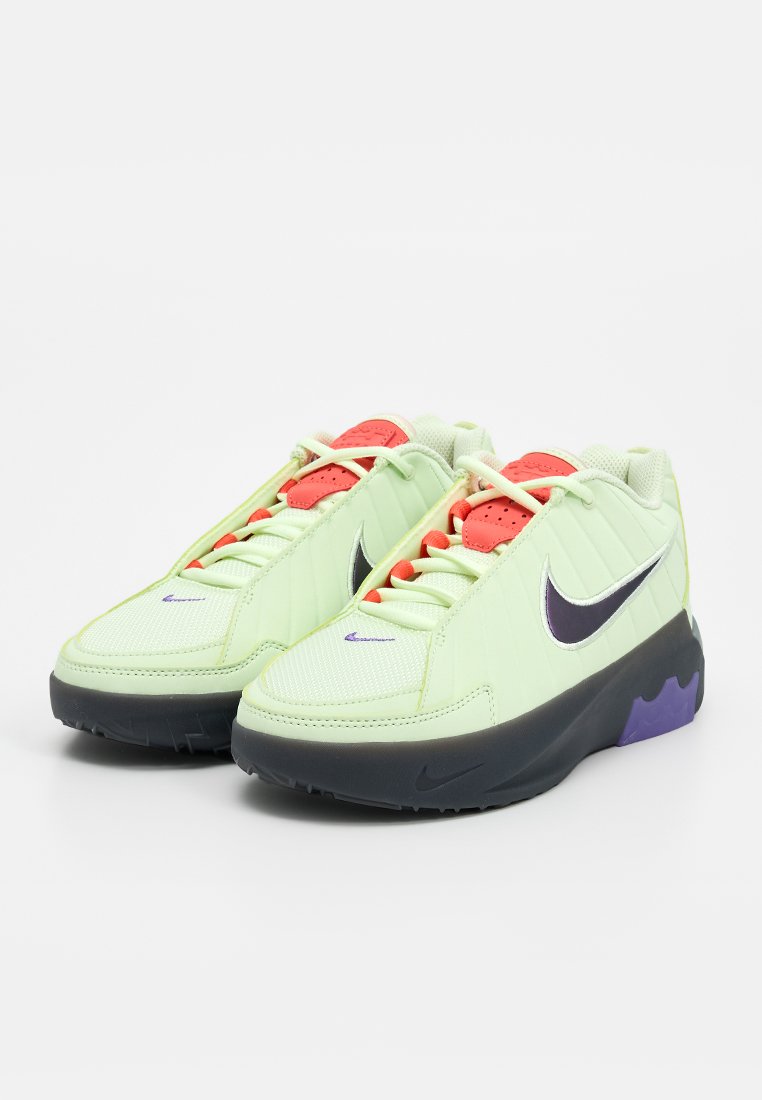 Nike Performance LEBRON WITNESS IX