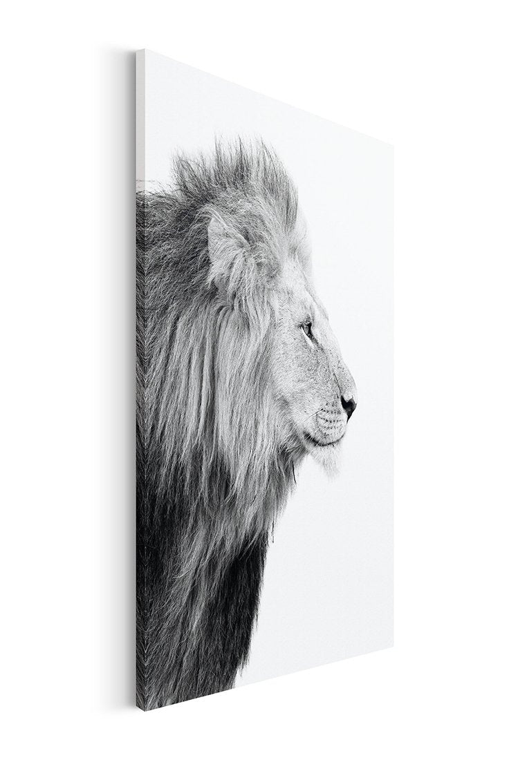 Orange Wallz LION HEAD