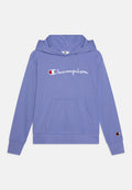 Champion ICONS HOODIE WITH LARGE LOGO