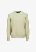 Jack & Jones Sweats Printed Sweats - Sweatshirt - celadon tint