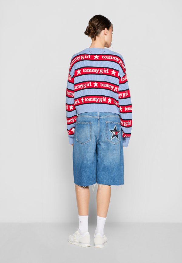 Tommy Jeans GIRL STRIPE SWEATER