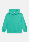 Puma WARDROBE HOODIE UNISEX