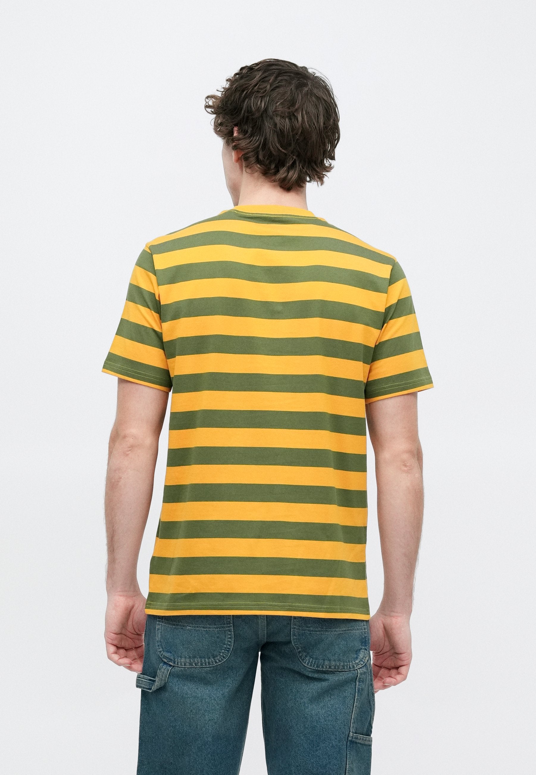 Dickies RIVERGROVE TEE