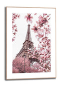 Orange Wallz EIFFEL SPRING