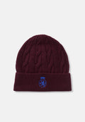 CREST BEANIE UNISEX Media 1