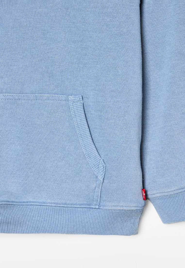 Levi's® LIVED-IN