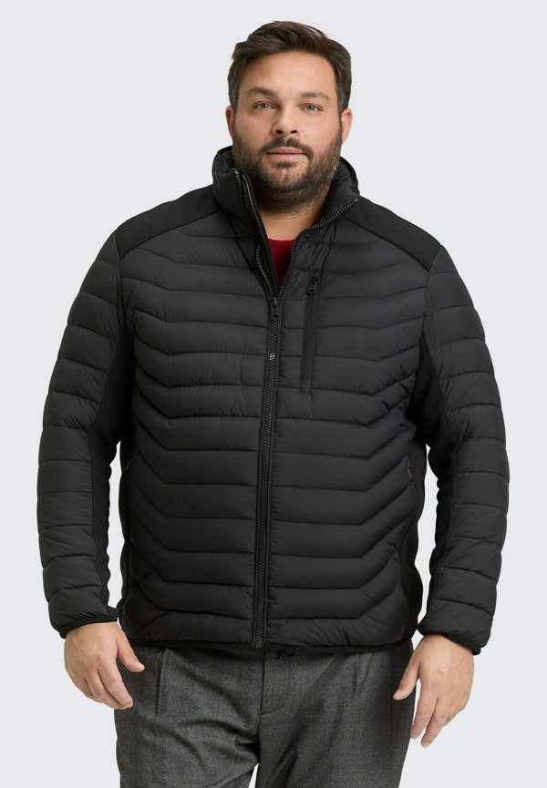 TOM TAILOR PLUS SIZE - HYBRID LIGHTWEIGHT STEPP - Winter jacket - black